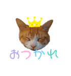 かわむかいネコちゃんず（個別スタンプ：14）