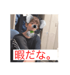 毎日の拓馬。（個別スタンプ：4）