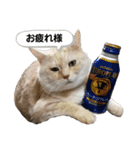柚子＆紅葉（個別スタンプ：1）