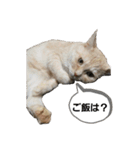 柚子＆紅葉（個別スタンプ：2）