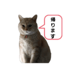 柚子＆紅葉（個別スタンプ：5）