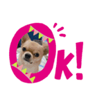 ☆ニコの仲間たち☆（個別スタンプ：5）