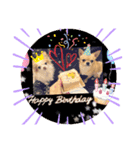 ☆ニコの仲間たち☆（個別スタンプ：6）