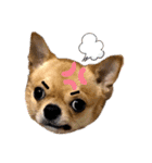 ☆ニコの仲間たち☆（個別スタンプ：8）