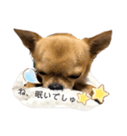 ☆ニコの仲間たち☆（個別スタンプ：9）