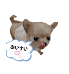 ☆ニコの仲間たち☆（個別スタンプ：10）