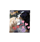 ☆ニコの仲間たち☆（個別スタンプ：12）