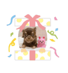 ☆ニコの仲間たち☆（個別スタンプ：15）