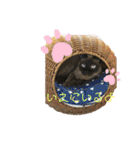 にゃんにゃんず1（個別スタンプ：20）