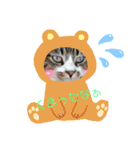 にゃんにゃんず1（個別スタンプ：23）