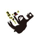 かめらっこあにまるず。（個別スタンプ：2）
