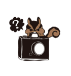 かめらっこあにまるず。（個別スタンプ：3）