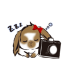 かめらっこあにまるず。（個別スタンプ：7）