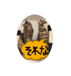 ドレミなアミーゴ（個別スタンプ：13）