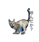 猫のバロンすたんぷ（個別スタンプ：1）