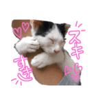 ゆきじじりり（個別スタンプ：7）