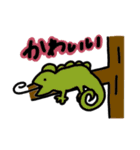 あいの動物スタンプ（個別スタンプ：15）