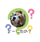 くうふくしま（個別スタンプ：1）
