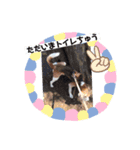 くうふくしま（個別スタンプ：8）