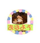 くうふくしま（個別スタンプ：14）