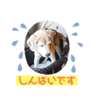 くうふくしま（個別スタンプ：15）
