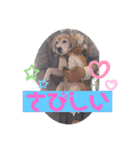 くうふくしま（個別スタンプ：17）