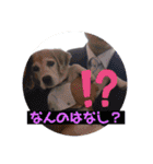 くうふくしま（個別スタンプ：18）