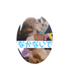 くうふくしま（個別スタンプ：21）