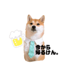 福くんのお言葉。（米子弁Ver.）（個別スタンプ：1）