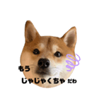 福くんのお言葉。（米子弁Ver.）（個別スタンプ：6）