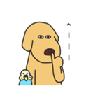ゴールデンレトリバーのemmaちゃん（個別スタンプ：11）