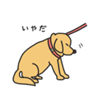 ゴールデンレトリバーのemmaちゃん（個別スタンプ：29）