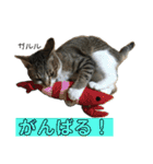 にゃんこの日常3（個別スタンプ：27）