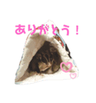 フクロモモンガのあずきちゃん（個別スタンプ：4）