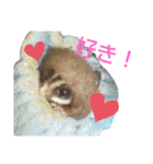 フクロモモンガのあずきちゃん（個別スタンプ：13）