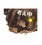 フクロモモンガのあずきちゃん（個別スタンプ：20）