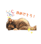 フクロモモンガのあずきちゃん（個別スタンプ：23）