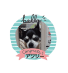 我が家の愛犬  アンジーとトム（個別スタンプ：1）