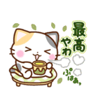 京都の三毛猫さん2（個別スタンプ：23）
