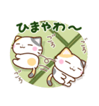 京都の三毛猫さん2（個別スタンプ：27）