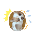 ♡こくあstamp♡（個別スタンプ：3）