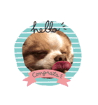 ♡こくあstamp♡（個別スタンプ：7）