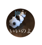 ねこたろうの日々2（個別スタンプ：4）