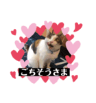 ねこたろうの日々2（個別スタンプ：5）