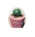 多肉植物スタンプ。。。（個別スタンプ：7）