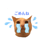 ミャオ太郎（個別スタンプ：4）
