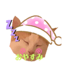 ミャオ太郎（個別スタンプ：5）