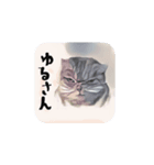 気まぐれ CAT #3（個別スタンプ：4）