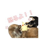 さらまめ（個別スタンプ：3）