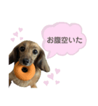さらまめ（個別スタンプ：5）